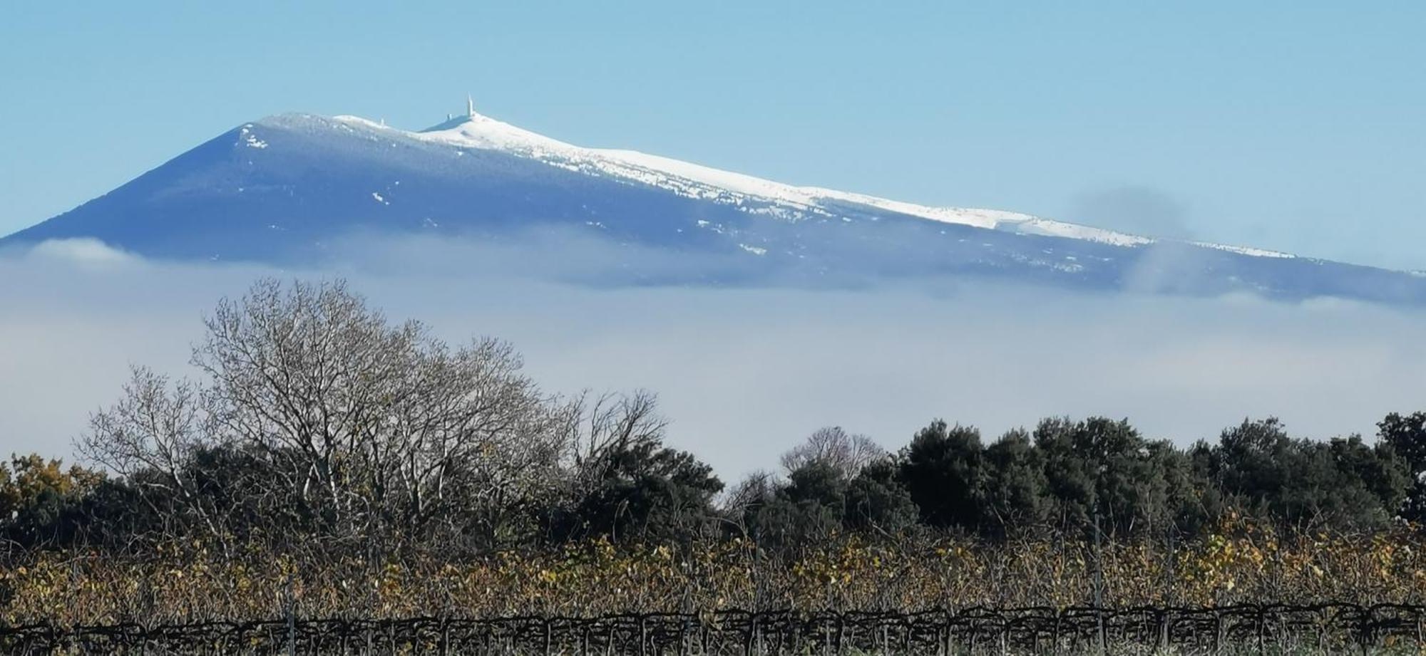 Lavand'Ange Et Spa Sarrians Exteriör bild