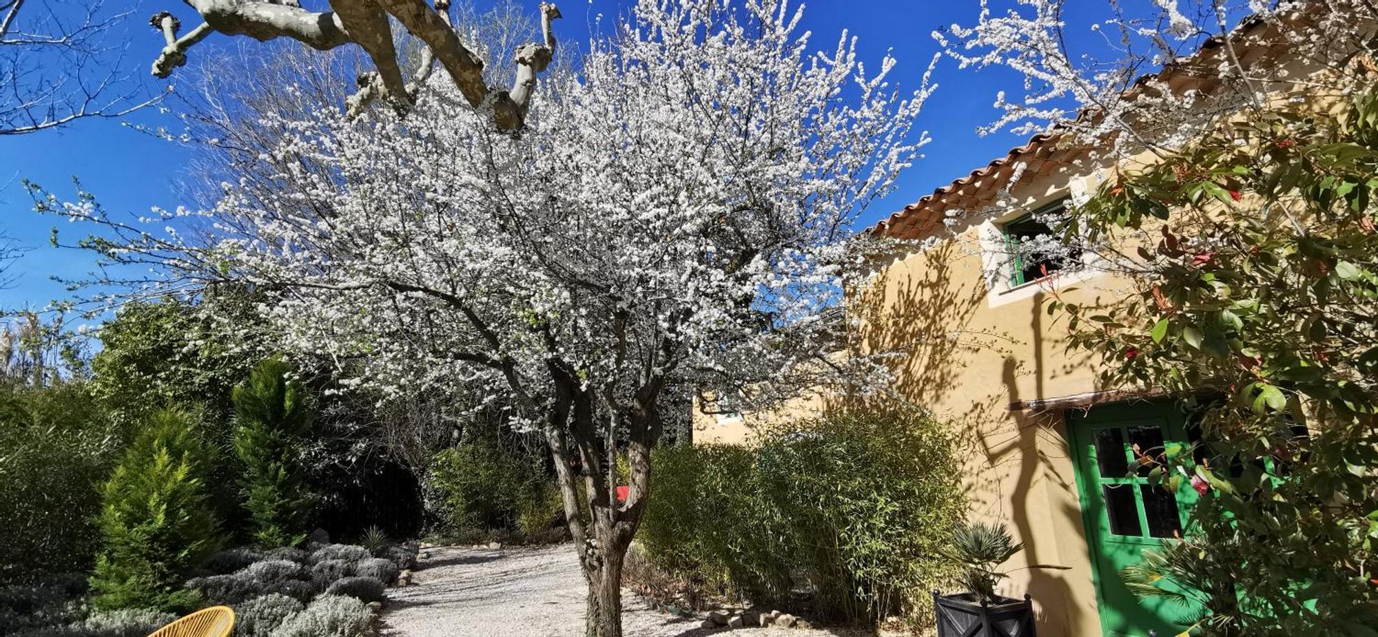 Lavand'Ange Et Spa Sarrians Exteriör bild