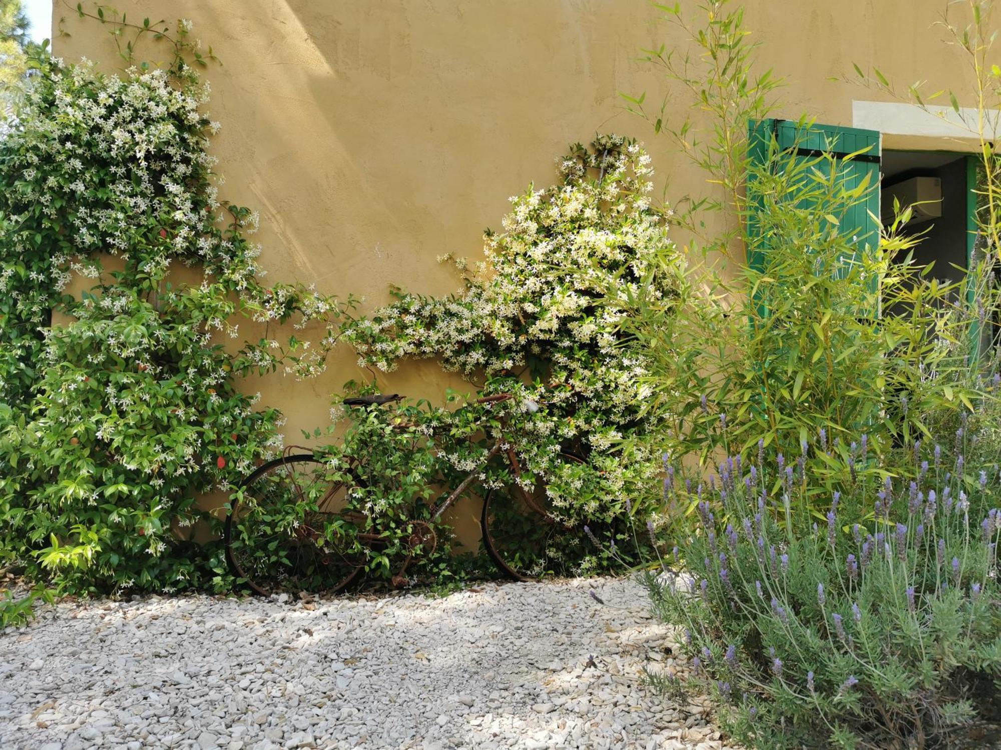 Lavand'Ange Et Spa Sarrians Exteriör bild