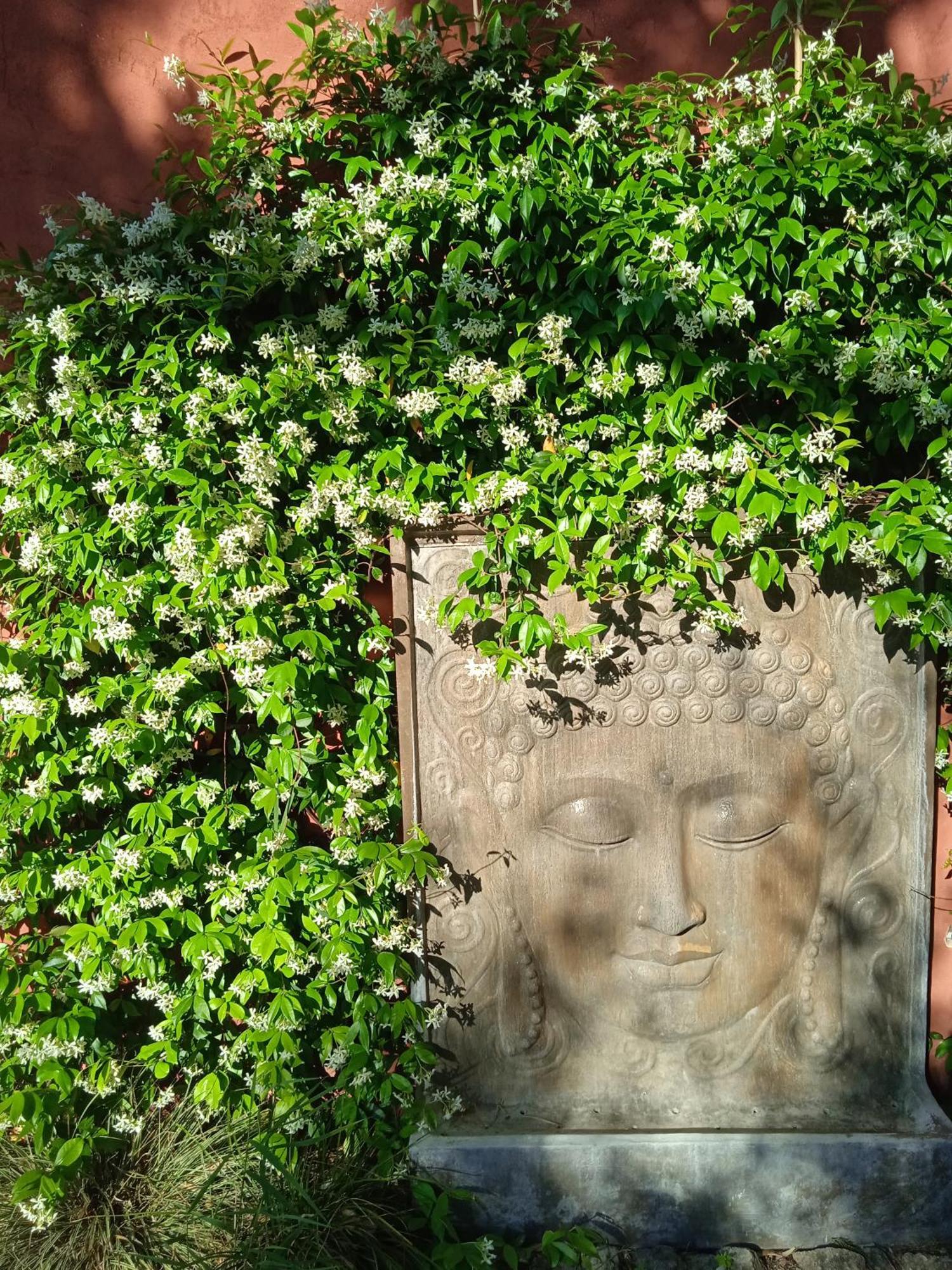 Lavand'Ange Et Spa Sarrians Exteriör bild